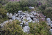 Click for full size image of Danby Rigg Cairn With Standing Stone (PID:167607) Danby Rigg Cairn With Standing Stone