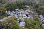 Danby Rigg Cairn With Standing Stone