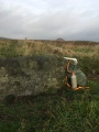 Click for full size image of Blakey Topping (PID:236442) Blakey Topping