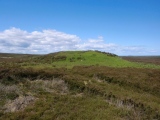 Middle Rigg round barrows and pit alignment