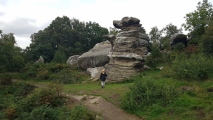 Click for full size image of Brimham Rocks (PID:230957) Brimham Rocks