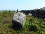 Click for full size image of Thimbleby Nine Stones (PID:251289) Thimbleby Nine Stones
