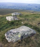 Addlebrough - PID:16567