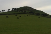 Click for full size image of Freebrough Hill (PID:249871) Freebrough Hill