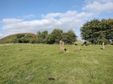 Click for full size image of Blakey Topping (PID:282139) Blakey Topping