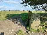 Click for full size image of Blakey Topping (PID:282143) Blakey Topping