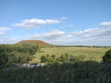 Click for full size image of Blakey Topping (PID:282146) Blakey Topping