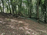 Click for full size image of Thornborough N (PID:257049) Thornborough N