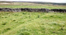 Click for full size image of Yarnbury Henge (PID:167932) Yarnbury Henge
