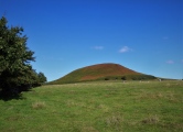 Click for full size image of Blakey Topping (PID:248112) Blakey Topping