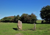 Click for full size image of Blakey Topping (PID:248110) Blakey Topping