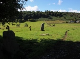 Click for full size image of Blakey Topping (PID:248108) Blakey Topping