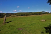 Click for full size image of Blakey Topping (PID:248107) Blakey Topping