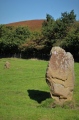 Click for full size image of Blakey Topping (PID:248106) Blakey Topping