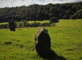 Click for full size image of Blakey Topping (PID:248105) Blakey Topping