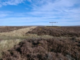 Click for full size image of Great Ayton Moor Chambered Cairn (PID:188704) Great Ayton Moor Chambered Cairn