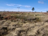 Great Ayton Moor Chambered Cairn