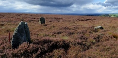 Click for full size image of Thimbleby Nine Stones (PID:176188) Thimbleby Nine Stones