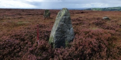 Click for full size image of Thimbleby Nine Stones (PID:176193) Thimbleby Nine Stones