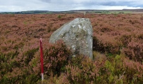 Click for full size image of Thimbleby Nine Stones (PID:176196) Thimbleby Nine Stones