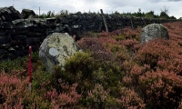 Click for full size image of Thimbleby Nine Stones (PID:176197) Thimbleby Nine Stones