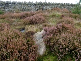 Click for full size image of Thimbleby Nine Stones (PID:176199) Thimbleby Nine Stones
