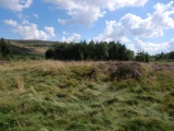 Lord Stones Cairn Circle.