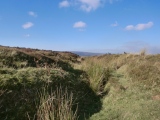 Low Crag Dyke