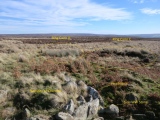 Click for full size image of Great Ayton Moor Chambered Cairn (PID:188693) Great Ayton Moor Chambered Cairn