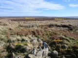 Great Ayton Moor Chambered Cairn