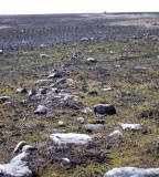 Snowden Moor - PID:13965