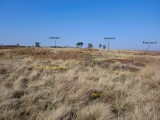 Great Ayton Moor Chambered Cairn