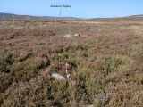 Commondale Moor Stone Circle