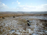 Click for full size image of Harland Moor (PID:5548) Harland Moor