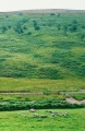 Click for full size image of Yockenthwaite (PID:125733) Yockenthwaite