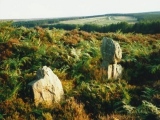 Click for full size image of Old Wife's Neck (PID:116556) Old Wife's Neck