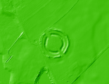 Click for full size image of Thornborough N (PID:284619) Thornborough N