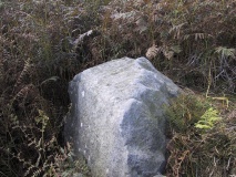 Middleton Moor (27) - PID:9011