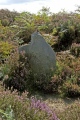 Click for full size image of Old Wife's Neck (PID:8939) Old Wife's Neck