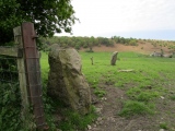 Click for full size image of Blakey Topping (PID:232839) Blakey Topping