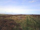 Click for full size image of Newton Mulgrave Moor LB (PID:268123) Newton Mulgrave Moor LB
