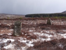 Thimbleby Nine Stones - PID:104679