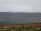 Three Howes (Cold Moor)