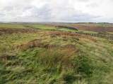 Click for full size image of Newton Mulgrave Moor LB (PID:268125) Newton Mulgrave Moor LB
