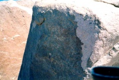 Mount Umm Shomar predators trap - PID:60845