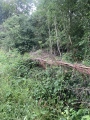 Click for full size image of Thornborough N (PID:260381) Thornborough N