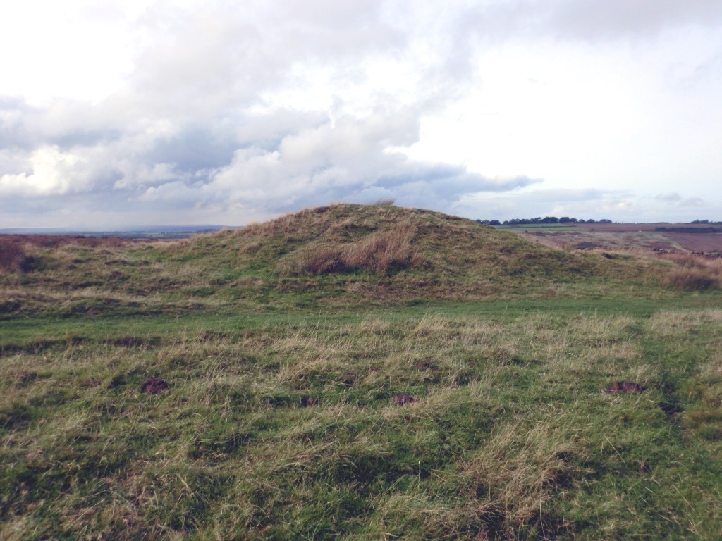 Click for full size image of Newton Mulgrave Moor LB (PID:268128) Newton Mulgrave Moor LB