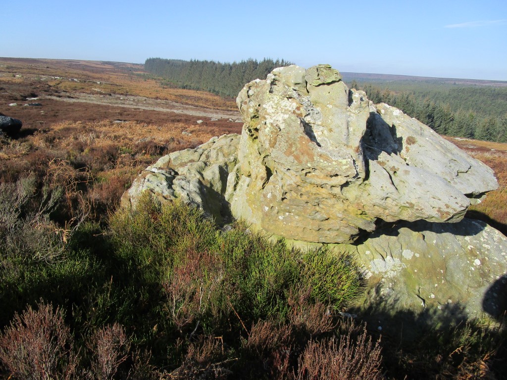 Raven Stones (Wheeldale Moor)