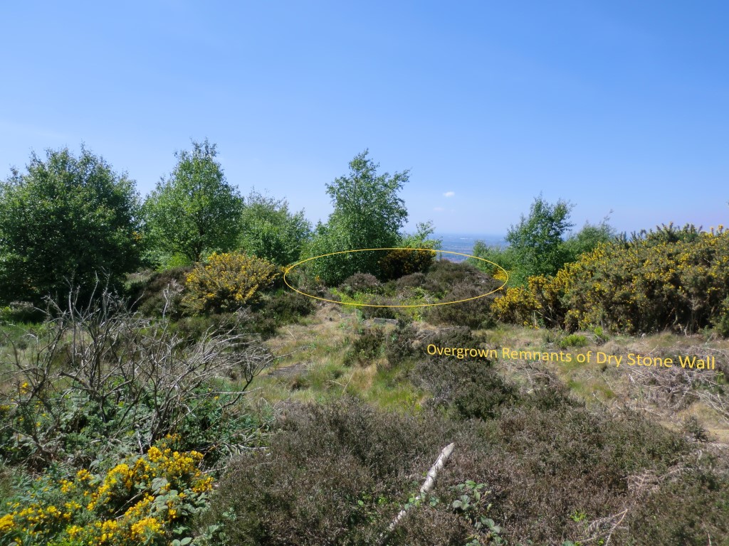 Click for full size image of Eston Moor B2 (PID:212927) Eston Moor B2
