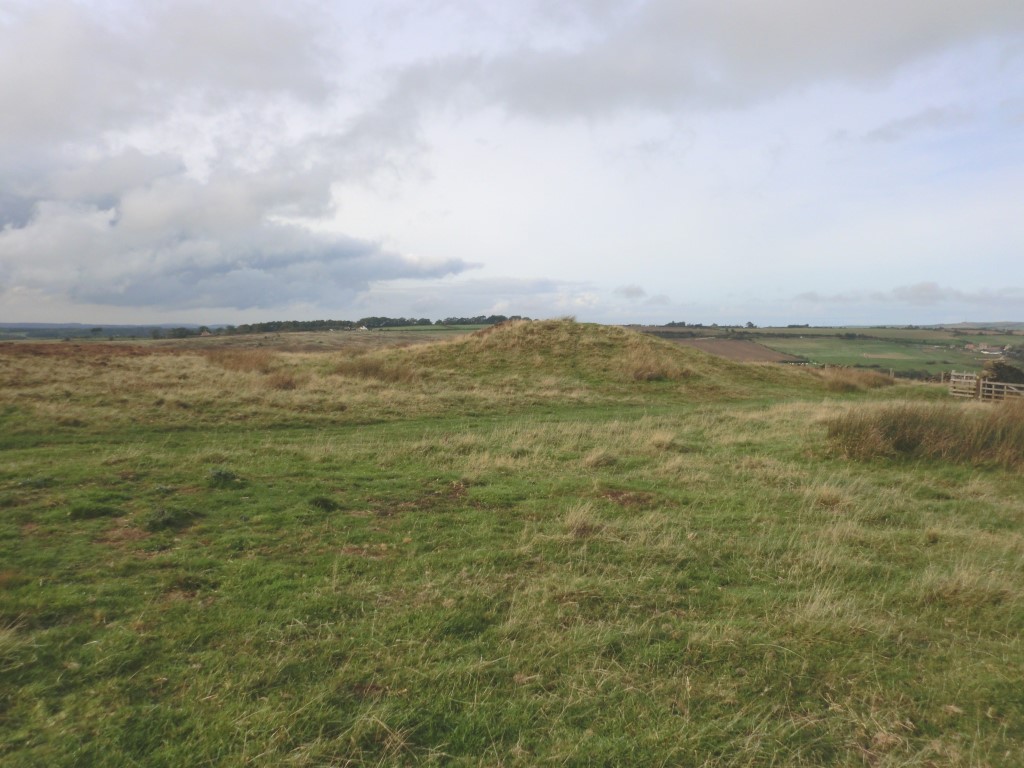 Click for full size image of Newton Mulgrave Moor LB (PID:268129) Newton Mulgrave Moor LB
